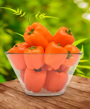 Семена Сады России Перец сладкий Оранжевый мармелад, 5 шт.