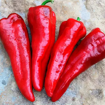 Семена Сады России Перец сладкий Палермо Красный F1, 3 шт.