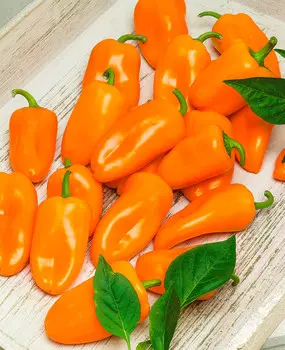 Семена Сады России Перец сладкий Сладкий мой Оранжевый, 3 шт.