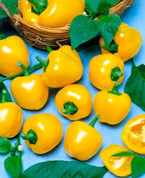 Семена Сады России Перец сладкий Золотистая Малютка F1, 5 шт. Домашний огород