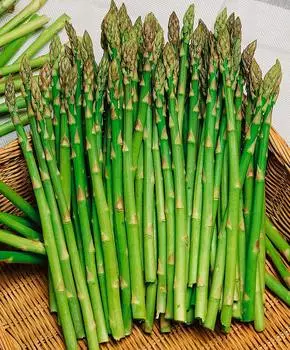 Семена Сады России Спаржа Салерома, 0,5 г