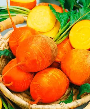 Семена Сады России Свекла Болдор, 0,5 г