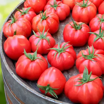 Семена Сады России Томат Марманде, 10 шт.