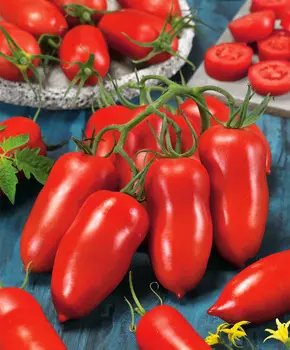 Семена Сады России Томат Позано F1, 3 шт.