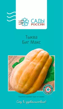 Семена Сады России Тыква Биг Макс, 3 шт.