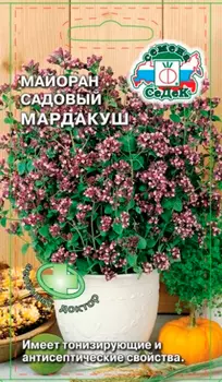 Семена СеДеК Майоран садовый Мардакуш, 0,1 г Зеленый Доктор