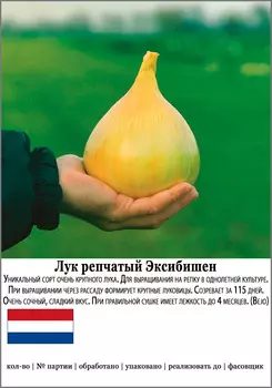 Семена SEEDSPOST Лук репчатый Эксибишен, 50 шт. Мировые хиты Bejo Элитные семена