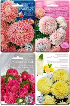 Семена SEEDSPOST Набор семян Великолепная Хризантелла, 4 уп.
