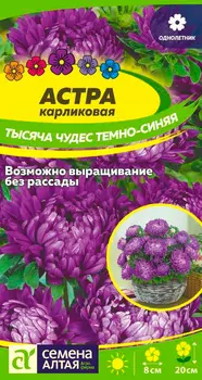 Семена Семена Алтая Астра карликовая Тысяча чудес Темно-синяя, 0,2 г