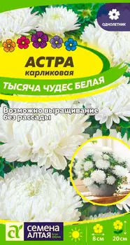 Семена Семена Алтая Астра карликовая Тысяча чудес Белая, 0,2 г