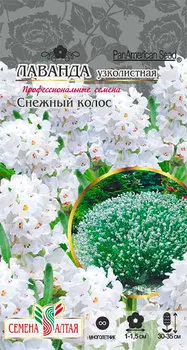 Семена Семена Алтая Лаванда узколистная Снежный колос, 5 шт. PanAmerican Seeds Профессиональные семена