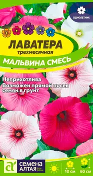 Семена Семена Алтая Лаватера Мальвина, Смесь, 0,2 г