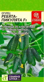 Семена Семена Алтая Огурец Ребята-Пикулята F1, 5 шт.