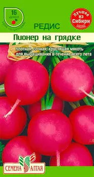 Семена Семена Алтая Редис Пионер на Грядке (16 дней), 1 г