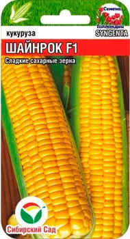 Семена Сибирский сад Кукуруза сахарная Шайнрок F1, 5 шт. Семена Голландии