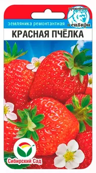Семена Сибирский сад Земляника Красная пчелка, 10 шт. Проверено в Сибири