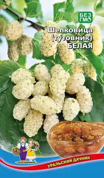 Семена Уральский дачник Шелковица (тутовник) Белая, 0,15 г