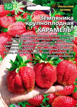 Семена Уральский дачник Земляника Карамель ®, 10 шт.