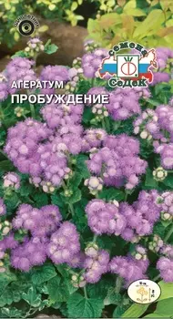 Агератум "Седек" Пробуждение 0,1г