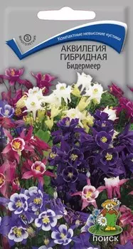 Аквилегия "Поиск" Бидермеер гибридная 0,1г