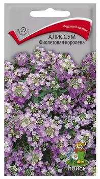 Алиссум "Поиск" Фиолетовая королева 0,3г