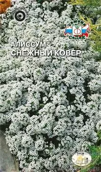 Алиссум "Седек" Снежный ковер 0,2г