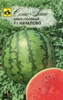 Арбуз "Семко" Началово F1 5 шт