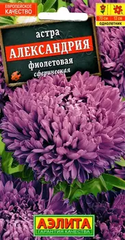 Астра "Аэлита" Александрия фиолетовая 0,1г