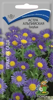 Астра альпийская "Поиск" Голубая 0,04г