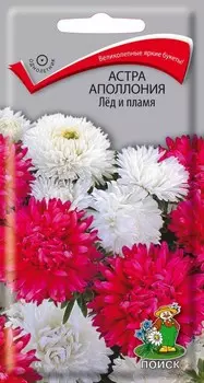 Астра аполлония "Поиск" Лёд и пламя 0,3г