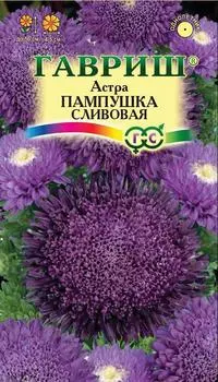 Астра "Гавриш" Пампушка сливовая 0,3г