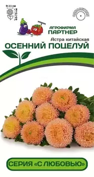Астра китайская "Партнер" Осенний поцелуй 5шт