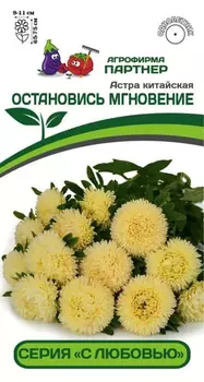 Астра китайская "Партнер" Остановись мгновение 5шт