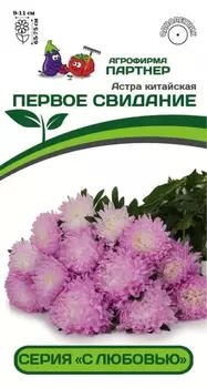 Астра китайская "Партнер" Первое свидание 5шт