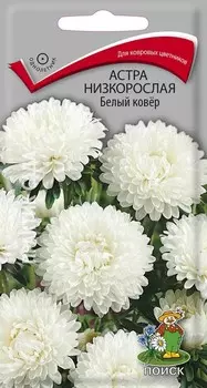 Астра низкорослая "Поиск" Белый ковер 0,3г