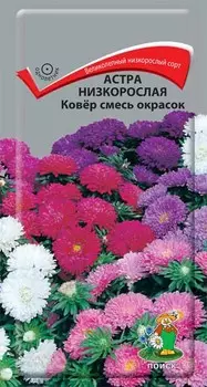 Астра низкорослая "Поиск" Ковёр смесь окрасок 0,2г