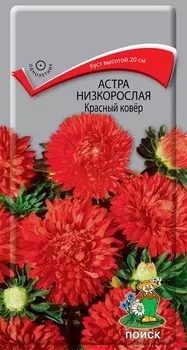 Астра низкорослая "Поиск" Красный ковер 0,2г