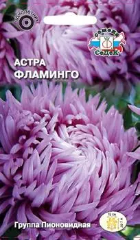 Астра пионовидная "Седек" Фламинго 0,2г