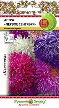 Астра "Русский огород" Первое сентября 0,2г