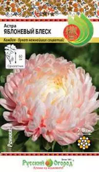 Астра "Русский огород" Яблоневый блеск 50шт