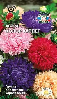 Астра "Седек" Колор карпет карликовая королевская 0,2г