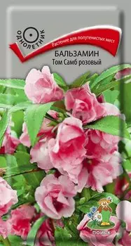 Бальзамин "Поиск" Том Самб розовый 0,1г