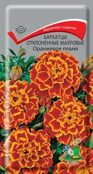 Бархатцы отклоненные "Поиск" Оранжевое пламя 0,4г