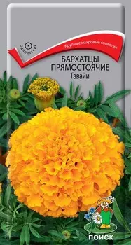 Бархатцы прямостоячие "Поиск" Гавайи 0,4г