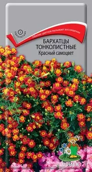 Бархатцы тонколистные "Поиск" Красный самоцвет 0,1г