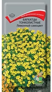 Бархатцы тонколистные "Поиск" Лимонный самоцвет 0,1г