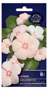 Барвинок "Седек" Беллини 5шт