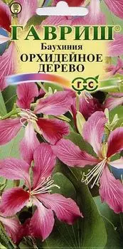 Баухиния "Гавриш" Орхидейное дерево 3шт
