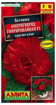 Бегония "Аэлита" Америгибрид гофрированная F1 красно-алая 5шт