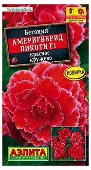 Бегония "Аэлита" Америгибрид Пикоти F1 красное кружево 5шт